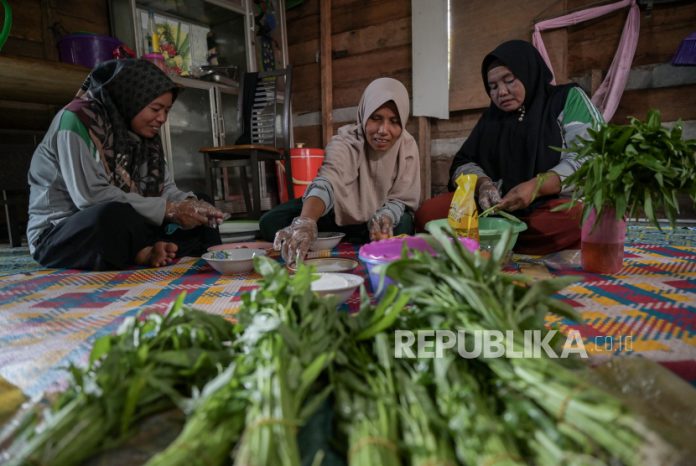 Kelompok Tani Perempuan di Bengkalis Olah Sayur Kangkung Jadi Camilan Kelompok Tani Perempuan di Bengkalis Olah Sayur Kangkung Jadi Camilan