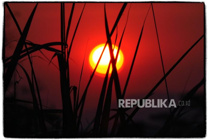 Naskah Khutbah Jumat: Spirit Ad Dhuha dalam Kehidupan